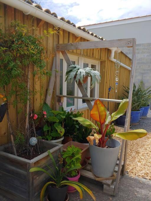 Studio Cocooning Le Porge Dış mekan fotoğraf